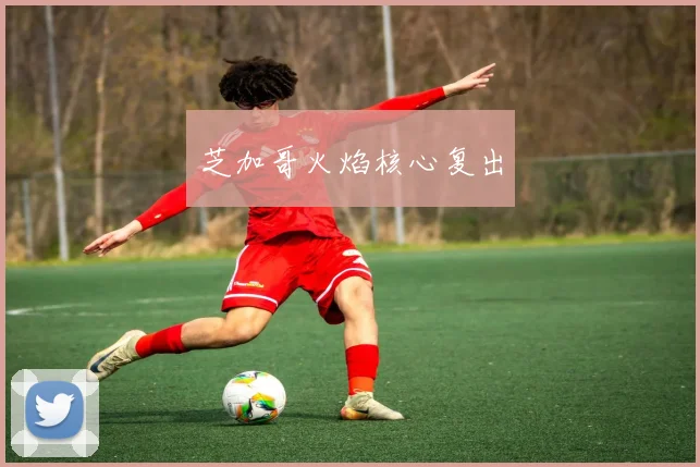 芝加哥火焰核心复出
