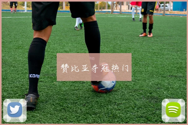 赞比亚夺冠热门