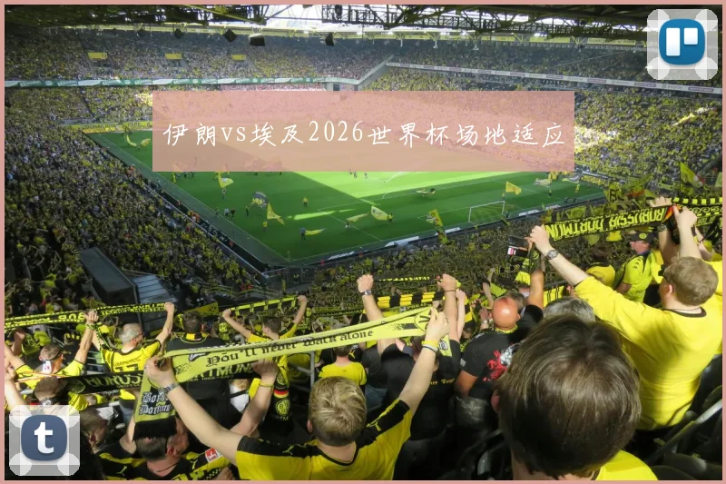 伊朗vs埃及2026世界杯场地适应