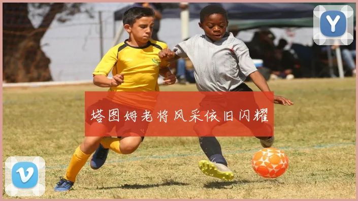 塔图姆老将风采依旧闪耀