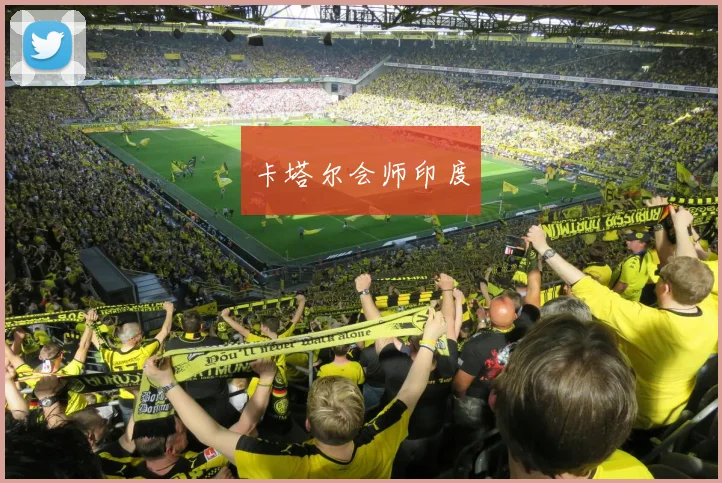 卡塔尔会师印度