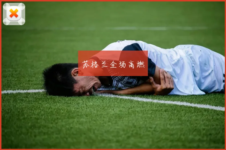 苏格兰全场高燃
