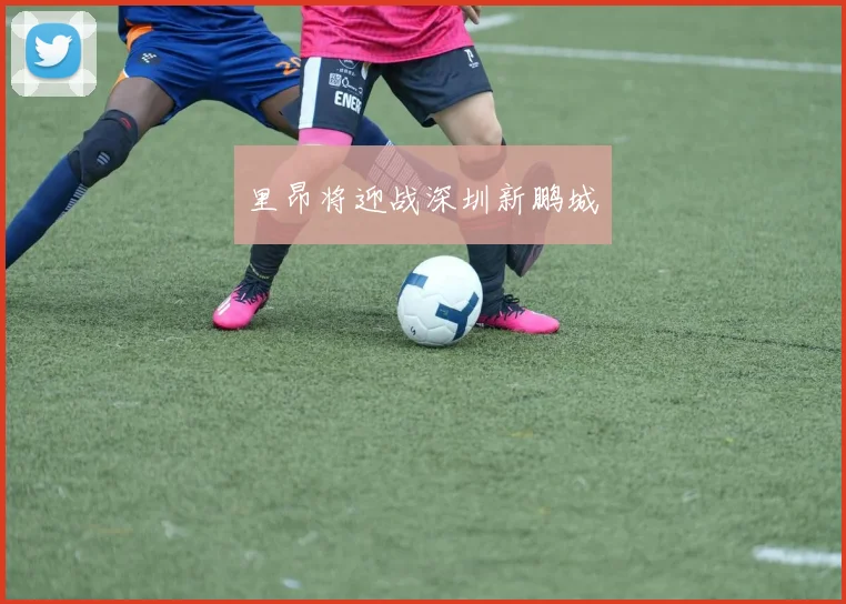 里昂将迎战深圳新鹏城