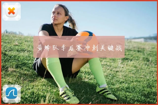 黄蜂队季后赛冲刺关键战