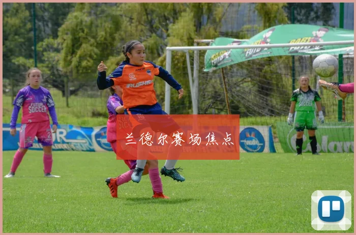 兰德尔赛场焦点