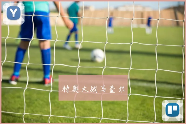 特奥大战马奎尔