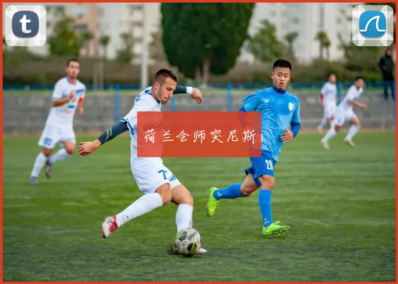 荷兰会师突尼斯