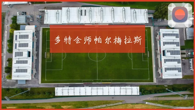 多特会师帕尔梅拉斯