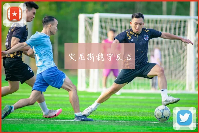 突尼斯稳守反击