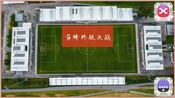 黄蜂终极决战