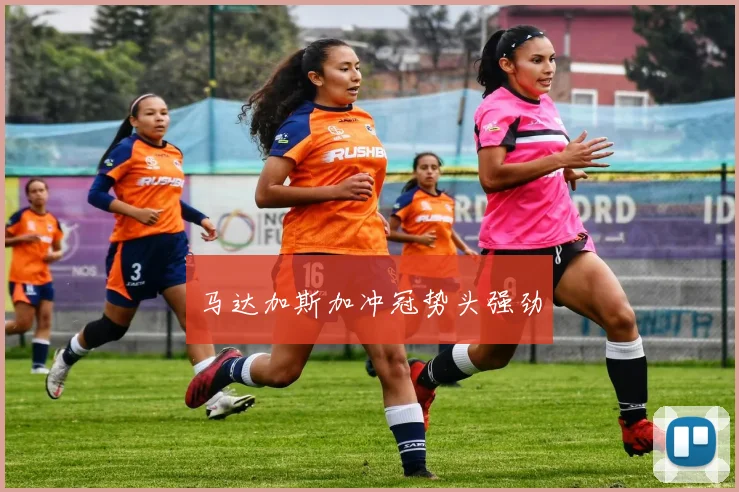 马达加斯加冲冠势头强劲