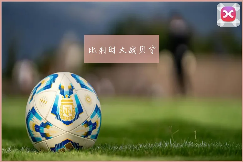 比利时大战贝宁