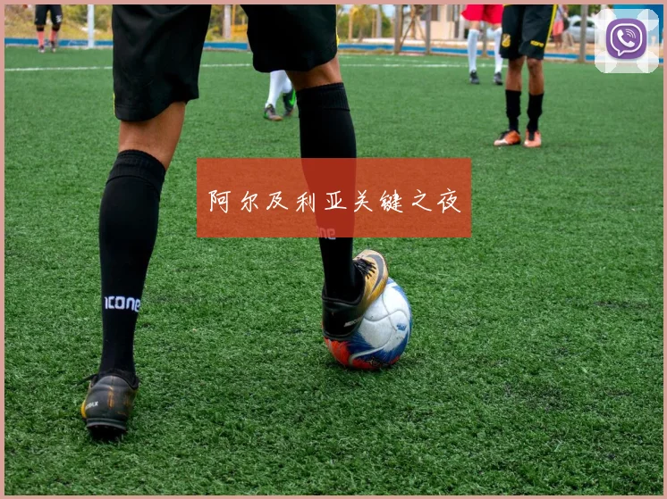 阿尔及利亚关键之夜
