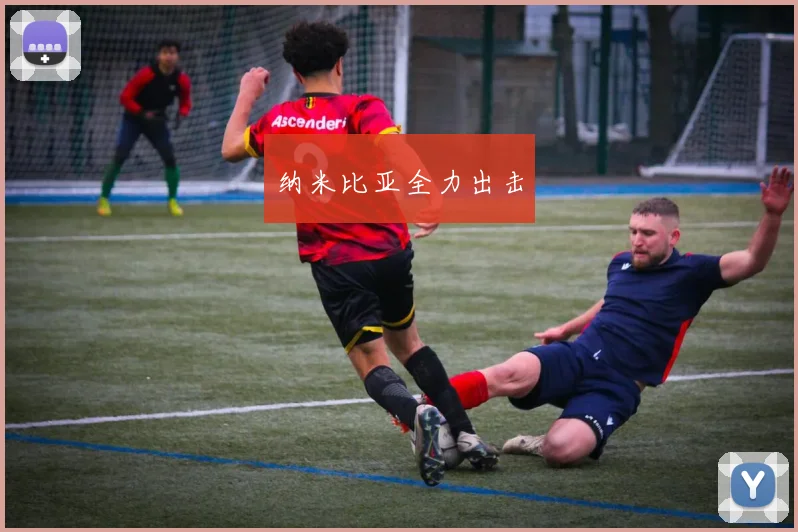 纳米比亚全力出击