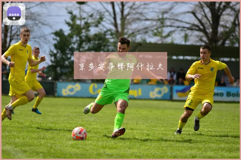 京多安争锋阿什拉夫