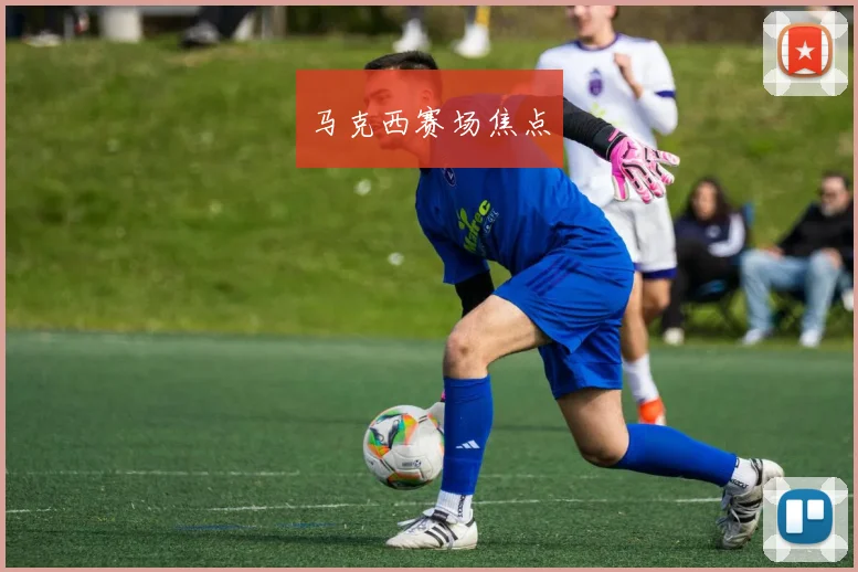 马克西赛场焦点