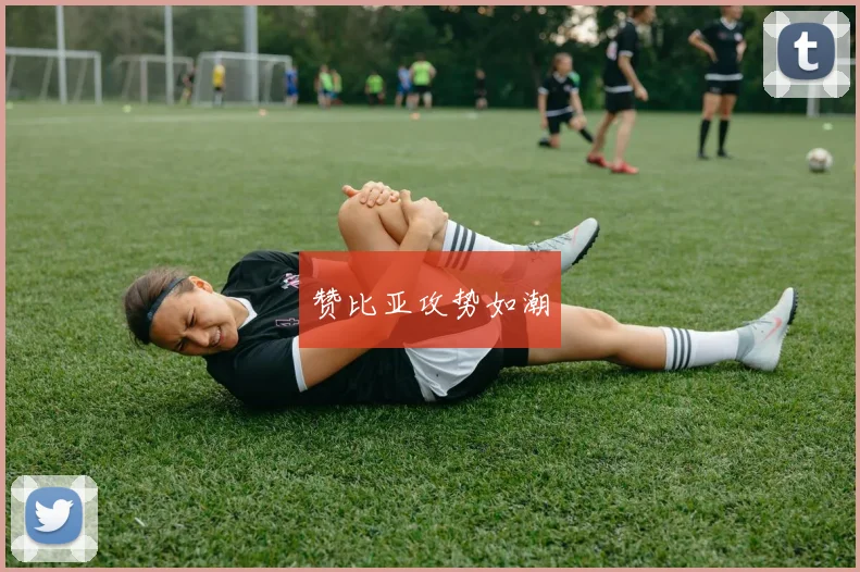赞比亚攻势如潮