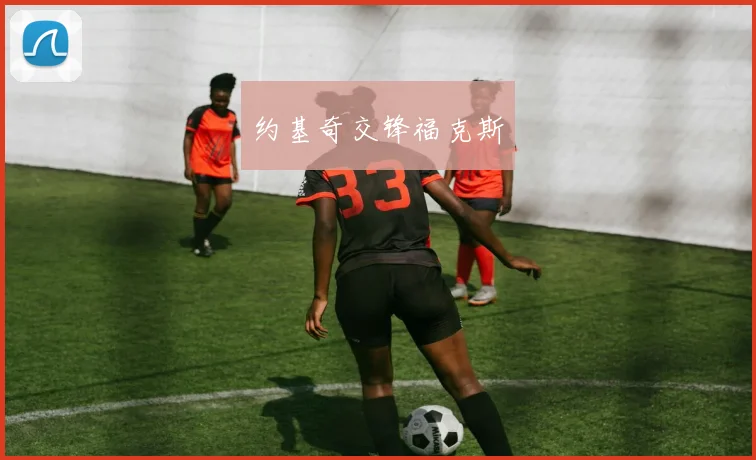 约基奇交锋福克斯