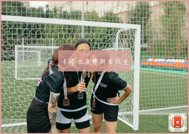 卡塔尔交锋斯洛伐克