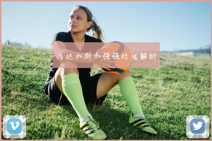 马达加斯加强强对话解析