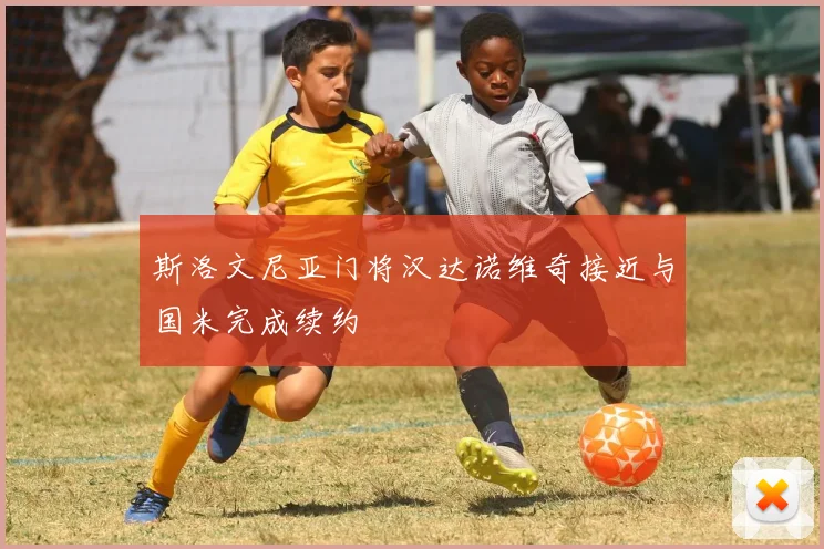 斯洛文尼亚门将汉达诺维奇接近与国米完成续约