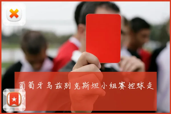 葡萄牙乌兹别克斯坦小组赛控球走势