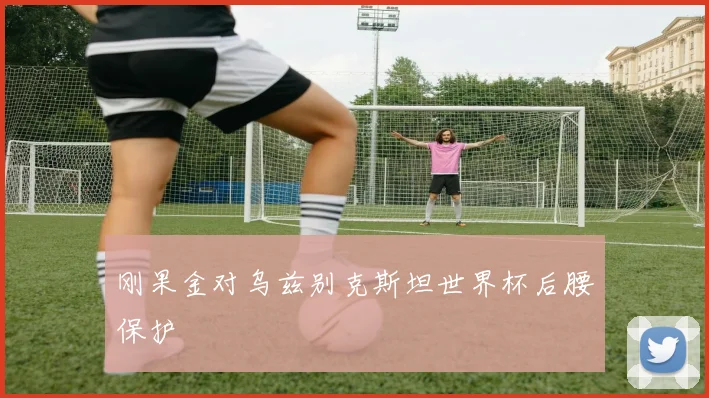 刚果金对乌兹别克斯坦世界杯后腰保护