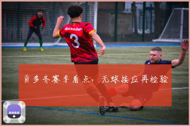 贡多齐赛季看点，无球接应再检验
