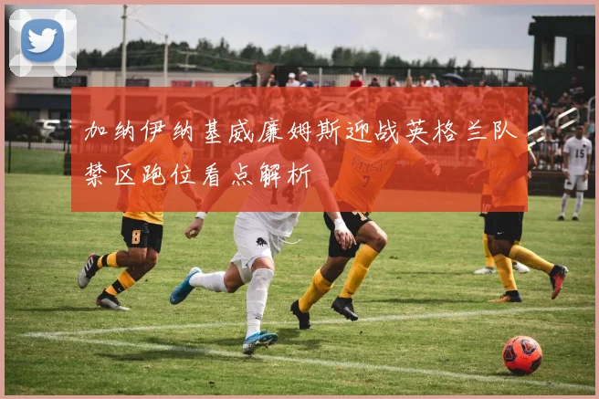 加纳伊纳基威廉姆斯迎战英格兰队禁区跑位看点解析